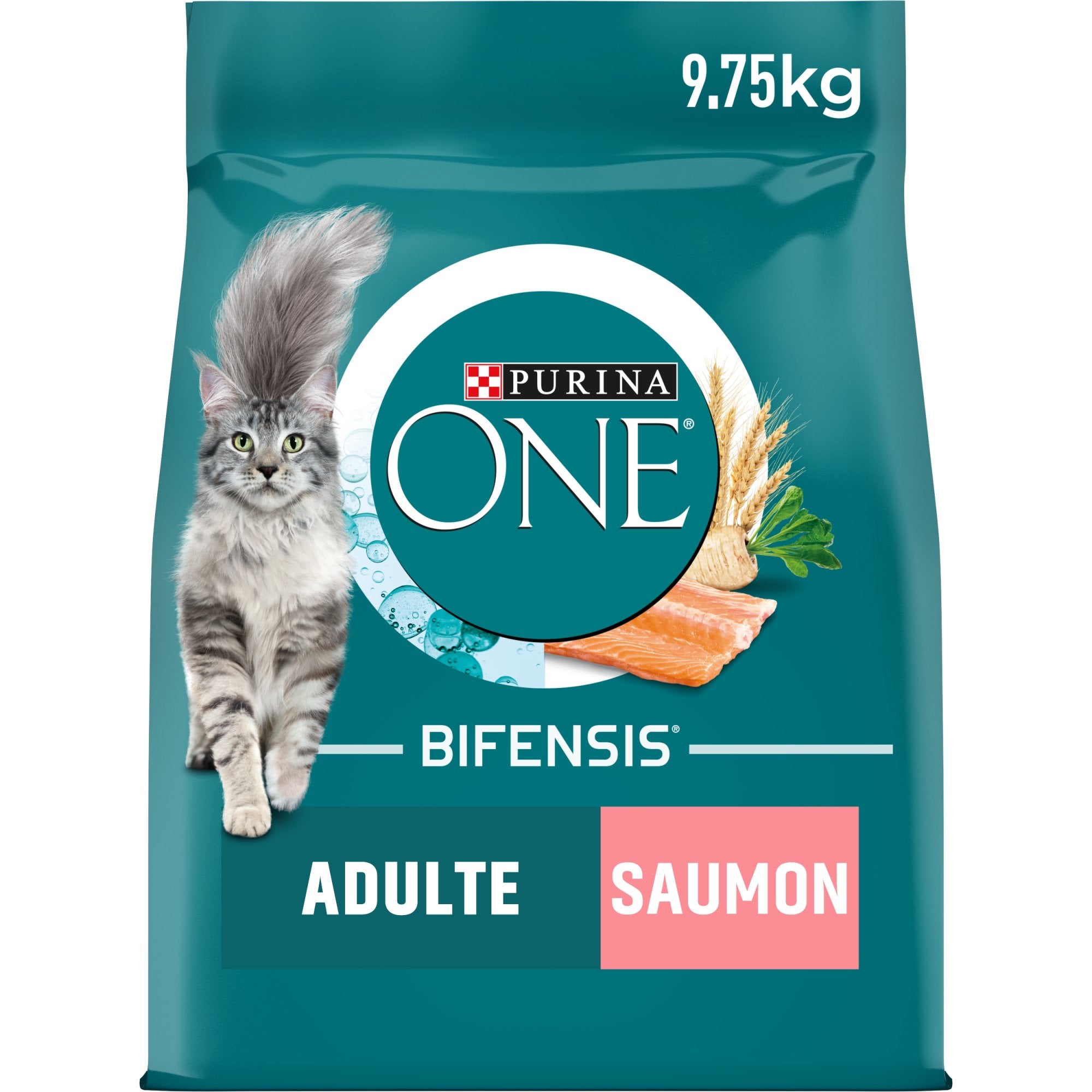 Croquettes chat adulte - Bifensis Saumon