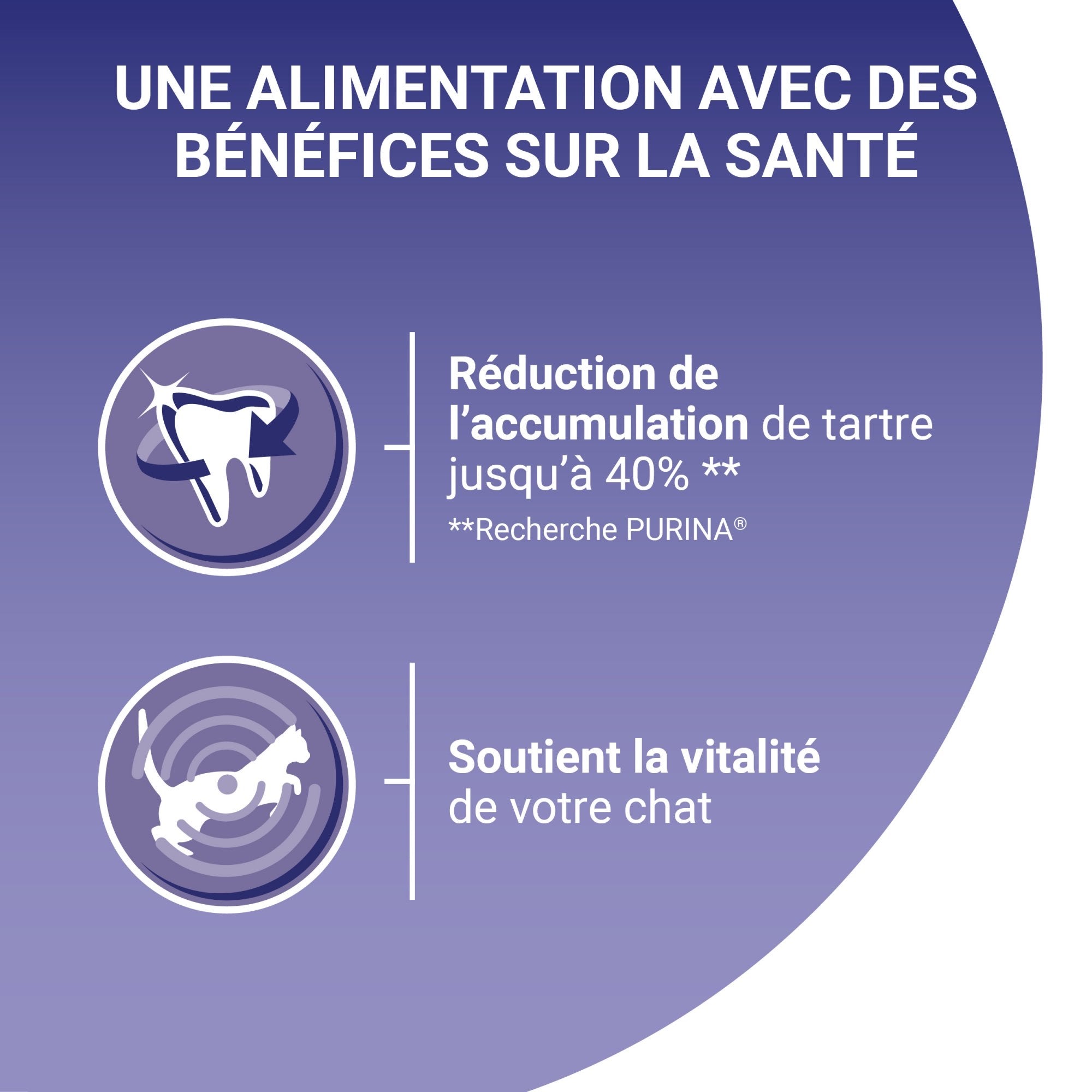 Croquettes chat adulte - Bifensis Saumon